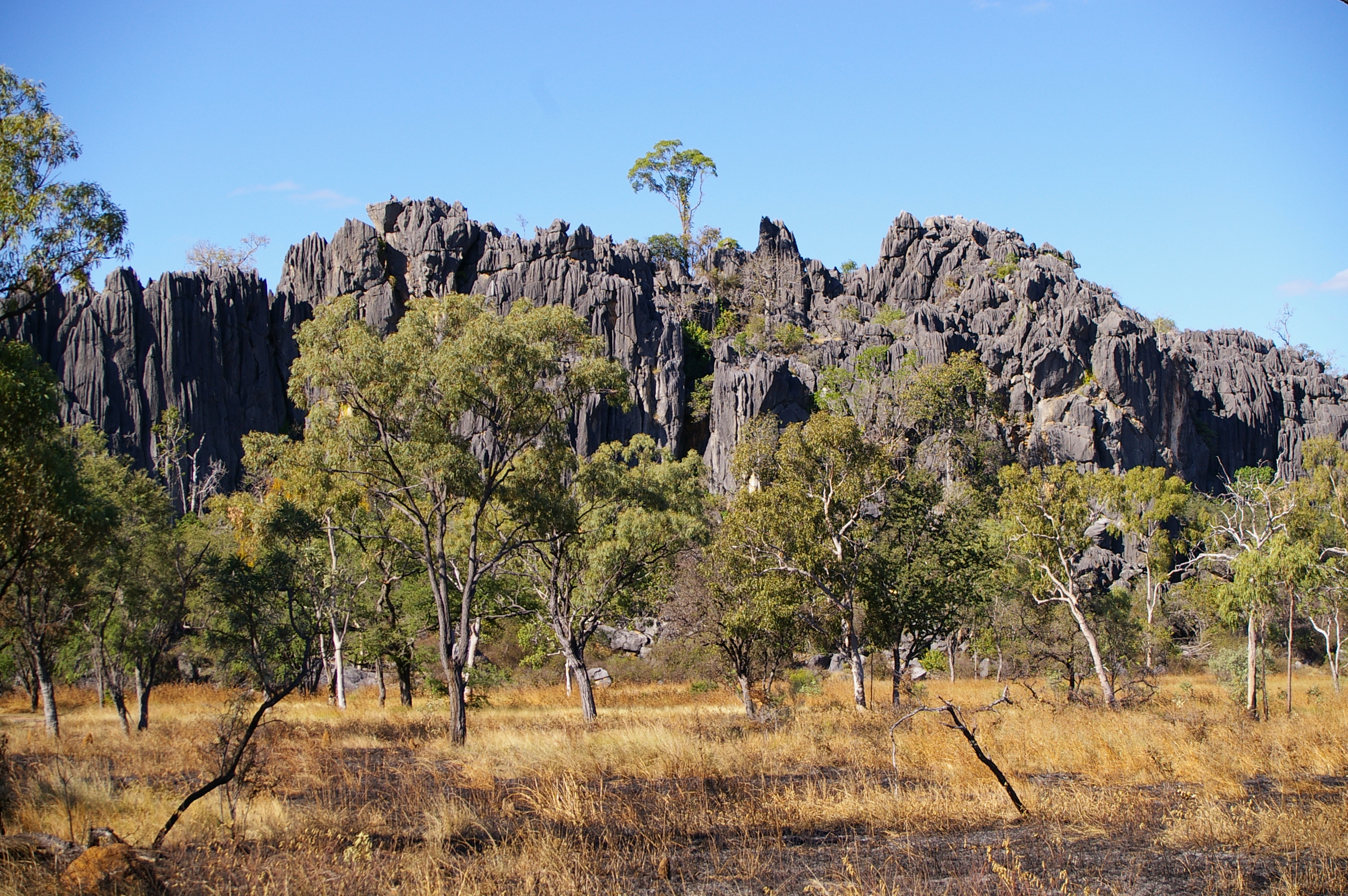 CHILLAGOE_CAVES_260706.JPG